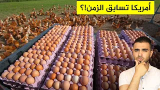 شاهد كيف يتم انتاج 100 مليار بيضة سنوياً في أمريكا🐣انتاج البيض من الدجاج بطريقة غريبة 🐔مزارع عملاقة