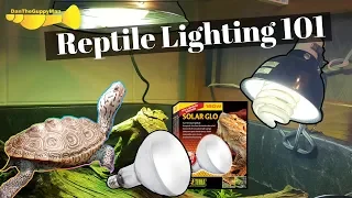 ULTIMATE Turtle/Tortoise Light and Heating Guide