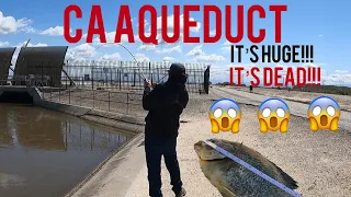 California Aqueduct/ Found a big one floating down stream! 😱