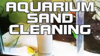 Quick Aquarium Sand Cleaning [How To/DIY]