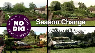 Season Change: Six Months of Growth and Succession Plantings at Homeacres