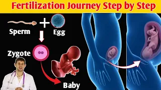 From Conception to Creation: Witness the Miracle of Fertilization! | Conception Explained