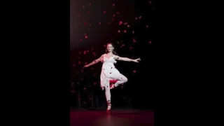The Red Shoes-Tchaikovsky