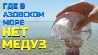 Где на Азовском море нет противных медуз