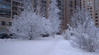 Зимние видеозарисовки (Февраль 2018, г. Санкт-Петербург, Васильевский остров)