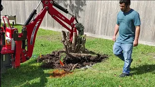 Best Tool For Removing Stumps Next To Underground Utility BXpanded RootRipper On A Massey GC Backhoe