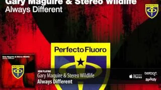 Gary Maguire & Stereo Wildlife - Always Different