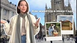 Прожила 6 месяцев в Нови Саде | Показываю город, делюсь впечатлениями, встречаю пасху