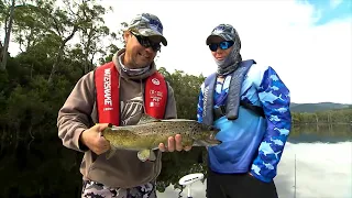 IFISH - Tassie Brown Trout on Plastics