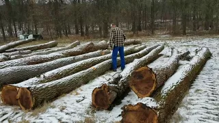 Determining log lengths