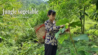 Jungle Vegetable, Straw Mushrooms #9 | Cooking VN