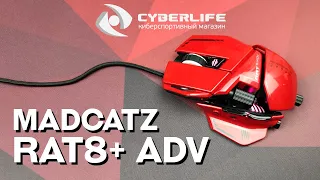 Обзор Mad Catz RAT8+ Advanced. На зависть трансформерам