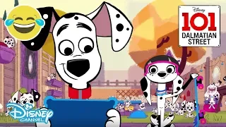 101 Dalmatian Street | Playtime - Animals vs Humans | Disney Channel UK