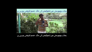 Prostitution instead of education in Punjab University social news 23 HD international