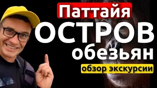 Экскурсия на катамаране Серенити в Паттайе - обзор и отзывы. Где купить экскурсии в Паттайе.