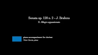 Sonata op. 120 n. 2 - II. Allegro appassionato - J. Brahms [PIANO ACCOMPANIMENT FOR CLARINET/VIOLA]