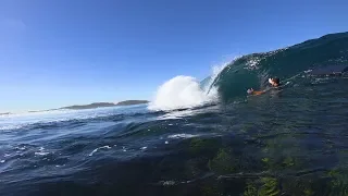 THIS REEF WAS PERFECT. We spent a day in PARADISE