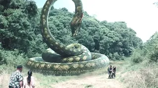 Humans go on an expedition to the jungle, but they alarm the big snake!