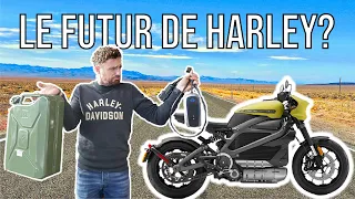 PARLONS HARLEY : LA LIVEWIRE EST-ELLE UNE HARLEY-DAVIDSON ?