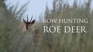 BOWHUNTING ROE DEER - Buejagt på rådyr