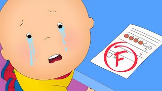 Caillou'nun Okul Başarısızlığı | Caillou Türkçe - WildBrain