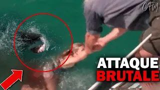 LA PIRE ATTAQUE De Requin | Cette Fille a Été Mangée Vivante Devant Ses Amis!