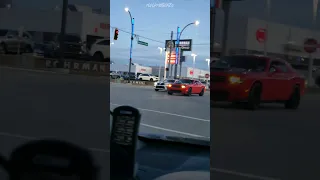 Muscle cars in the wild! Camaro vs Challenger!