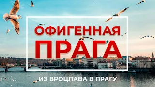 Офигенная Прага - Из Вроцлава в Прагу, Карловы Вары и обратно на Flixbus польша