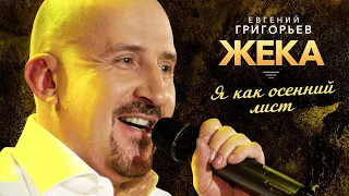 ЖЕКА (Евгений Григорьев) - Я как осенний лист (Удивительная жизнь, концерт в Меридиане, 2013)