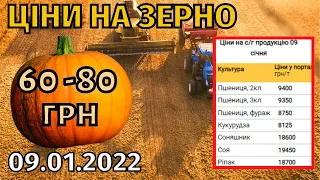 Ціни на зерно! Гарбузове насіння по 60-80 грн/кг. Повінь в Карпатах.  Протести в Казахстані.