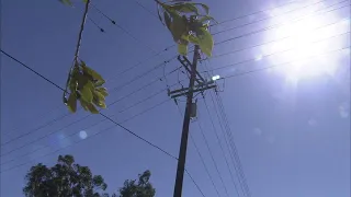 SCE may shut off power on Thanksgiving due to fire danger | ABC7