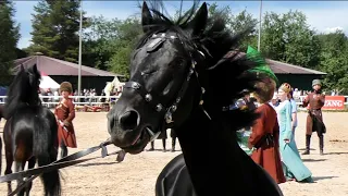 КАБАРДИНСКИЕ #лошади породный ринг #ИППОсфера 2021 Созвездие Шагди