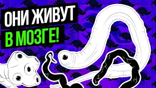 Могут ли ЧЕЛОВЕЧЕСКИЕ ПАРАЗИТЫ жить в мозге? — ВАУМАШИН (анимация)