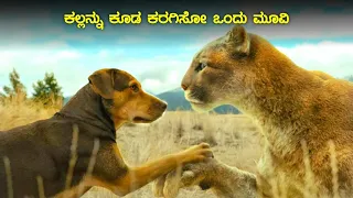 A Dog's way home movie explained in kannada | dubbed kannada movie story explained review