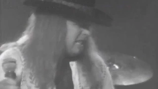 Lynyrd Skynyrd - Workin' For MCA - 7/13/1977 - Convention Hall (Official)