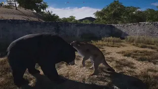 Animal fights Farcry 5  Bear
