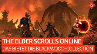 Alles in einer Box: Das bietet die Blackwood-Collection von The Elder Scrolls Online | SPECIAL