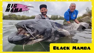 Fishing an unbelivable and rare 200 pound black catfish by Catfish World