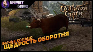 Кольцо щедрости оборотня ▶ Baldur's Gate 3 ▶Ззагадка странного вола!