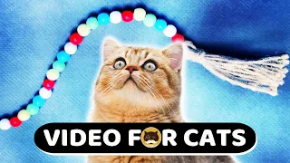 CAT GAMES - Beads on a String. Videos for Cats | Movie for Cats | 1 Hour.