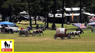 Opening Ceremony & Landrush Wagon Races - What About Bob Chuckwagon Races 2022 |  Sunday