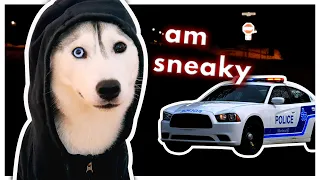 Sneaking Out PAST CURFEW with my DOG! | Will the cops catch us?