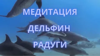 Медитация дельфин радуги