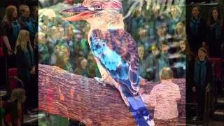 Laugh Kookaburra