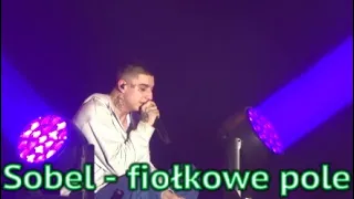 Sobel - fiołkowe pole, Koncert Wrocław -Okiem Szafrana #7 #sobel