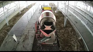 СТОВ «Промінь», унікальний корівник з одночасним утриманням 2500 корів із крос-вентиляцією