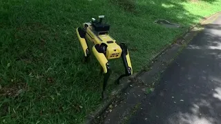 Singapore robot enforces safe distancing among park-goers