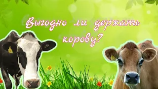 Выгодно ли держать корову/ Какая порода  коров выгоднее/Натуральные продукты или химия.