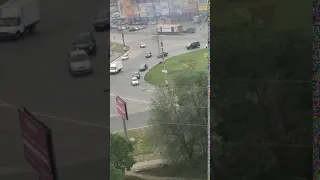 Утки на дороге в Сызрани