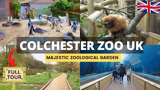 COLCHESTER ZOO Walking Tour - England! One of the BEST Zoos to Visit in the UK | 4K